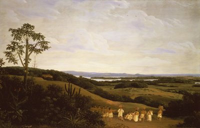 Panoramic View in Brazil with a River in the Distance by Frans Post